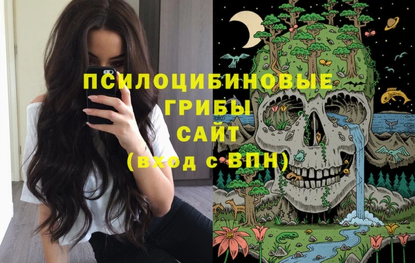 тгк Михайлов