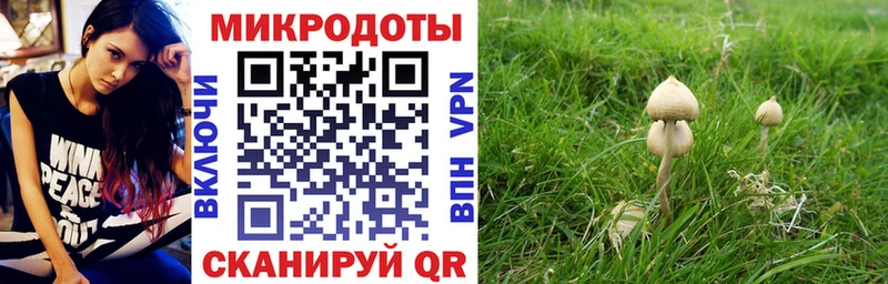 blacksprut рабочий сайт  Гдов  Галлюциногенные грибы GOLDEN TEACHER  закладка 